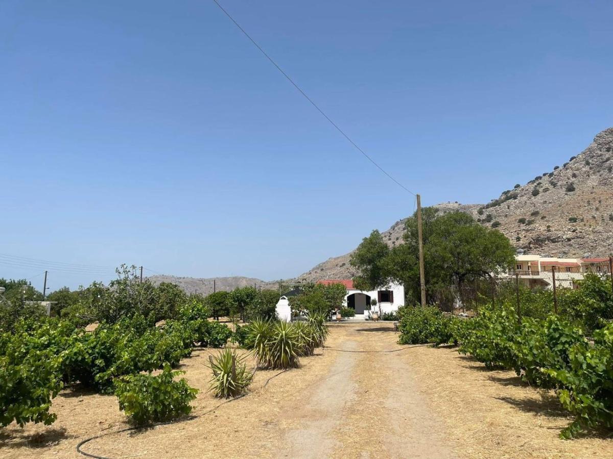 Aegean Endless Summer Villa Pefkos Πεύκος Εξωτερικό φωτογραφία