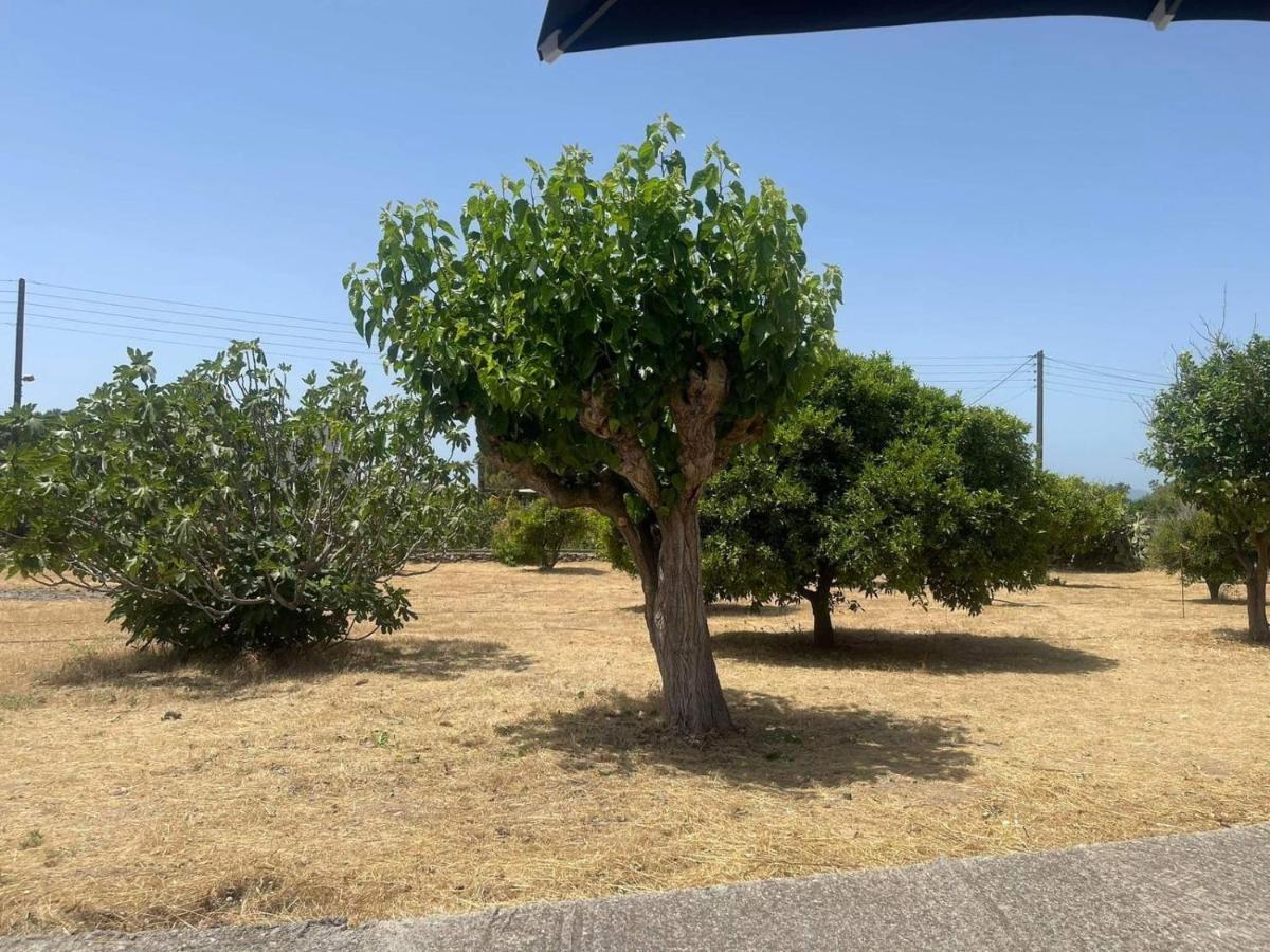 Aegean Endless Summer Villa Pefkos Πεύκος Εξωτερικό φωτογραφία