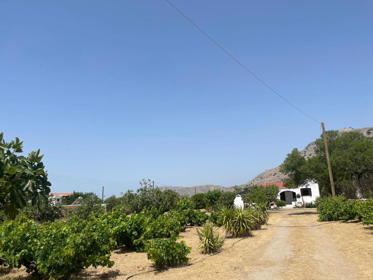 Aegean Endless Summer Villa Pefkos Πεύκος Εξωτερικό φωτογραφία