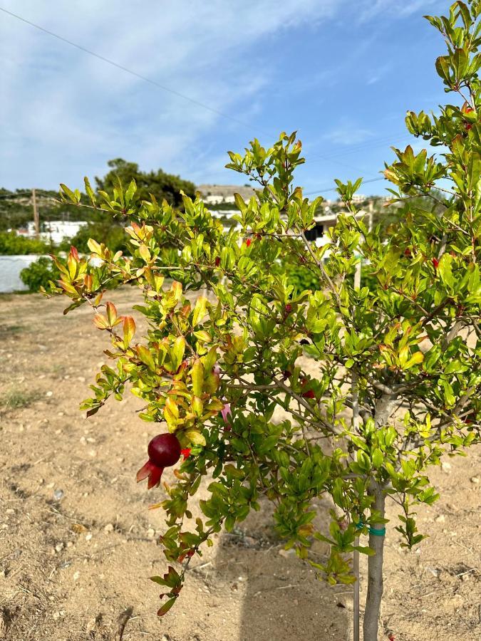 Aegean Endless Summer Villa Pefkos Πεύκος Εξωτερικό φωτογραφία